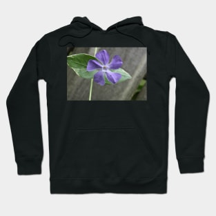 Lavender Vine Flower Against Fence Post Photographic Image Hoodie